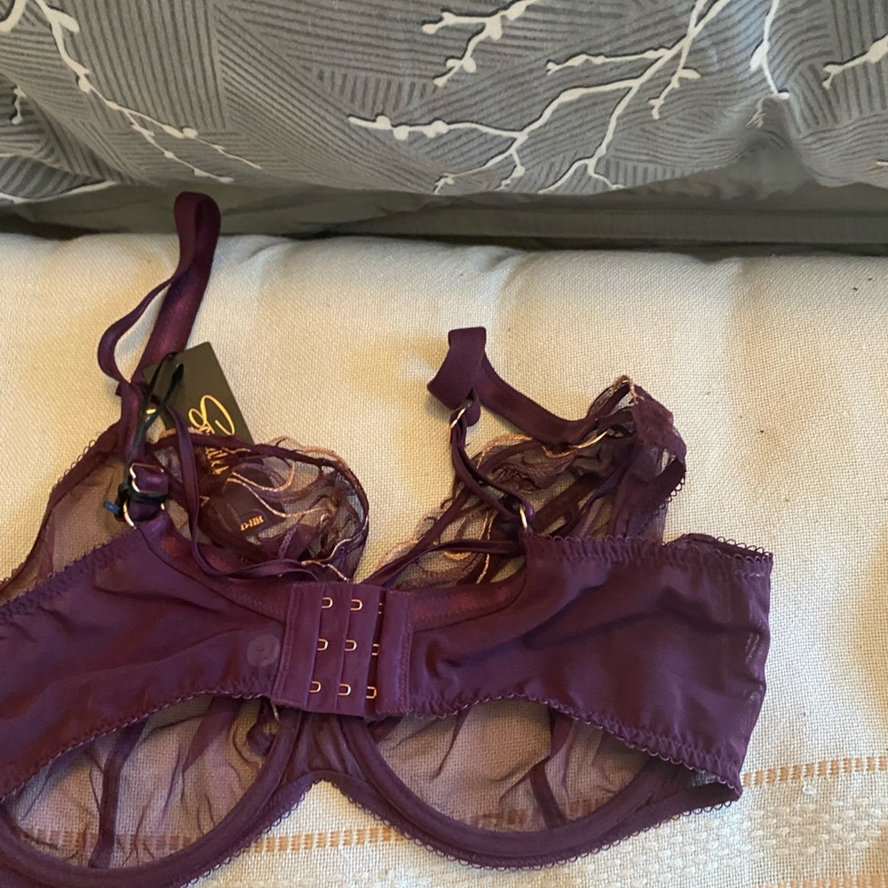 Scantily by Curvy Cate size 40FF new with tags.